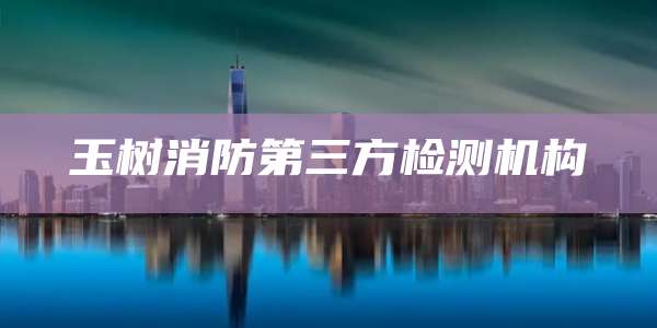 玉树消防第三方检测机构