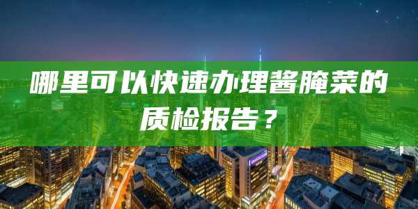 哪里可以快速办理酱腌菜的质检报告？