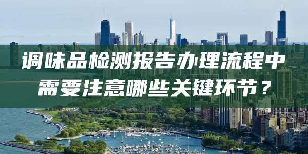 调味品检测报告办理流程中需要注意哪些关键环节？