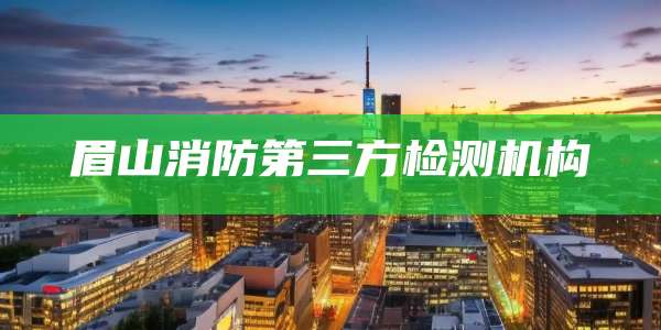 眉山消防第三方检测机构