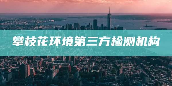 攀枝花环境第三方检测机构