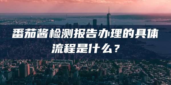 番茄酱检测报告办理的具体流程是什么？