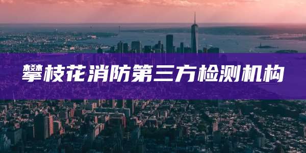 攀枝花消防第三方检测机构