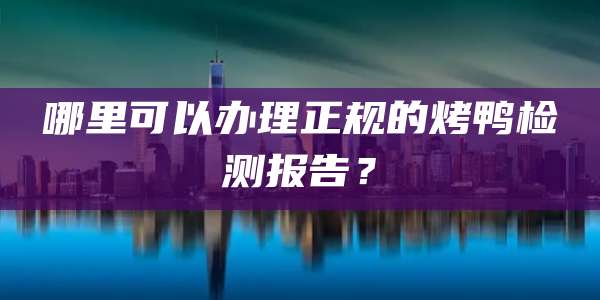 哪里可以办理正规的烤鸭检测报告？