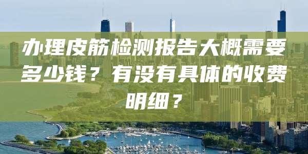 办理皮筋检测报告大概需要多少钱？有没有具体的收费明细？