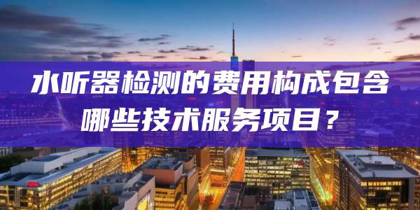 水听器检测的费用构成包含哪些技术服务项目？