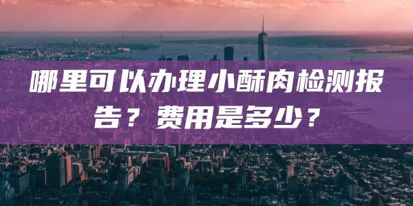 哪里可以办理小酥肉检测报告？费用是多少？