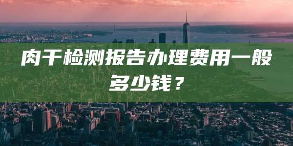 肉干检测报告办理费用一般多少钱？