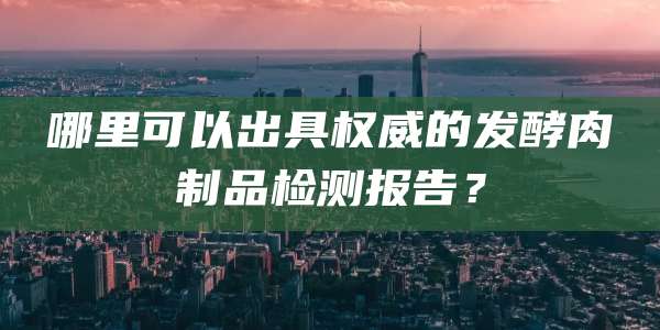 哪里可以出具权威的发酵肉制品检测报告？