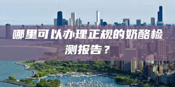 哪里可以办理正规的奶酪检测报告？