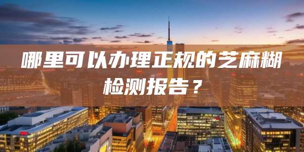 哪里可以办理正规的芝麻糊检测报告？