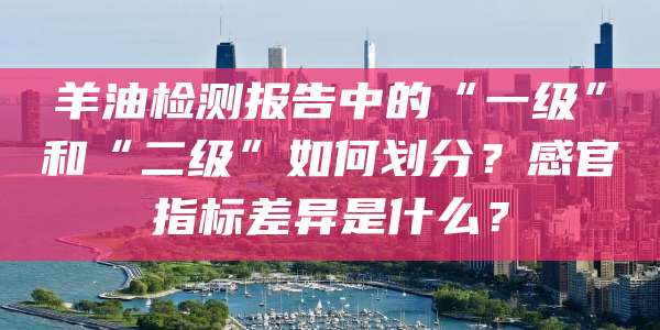 羊油检测报告中的“一级”和“二级”如何划分？感官指标差异是什么？