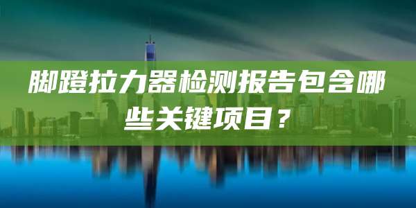 脚蹬拉力器检测报告包含哪些关键项目?